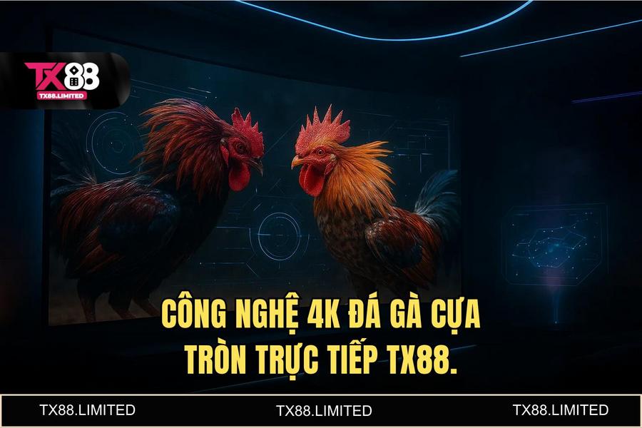 Công nghệ truyền hình trực tiếp 4K và hệ thống AI VAR giám sát trận đấu tại TX88